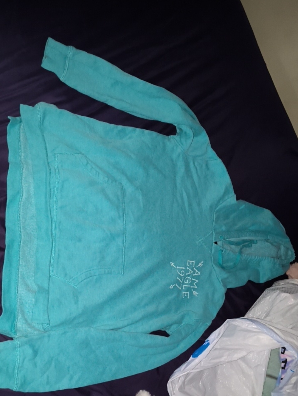 American Eagle Outfitters Turquoise Hoodie – Size Medium